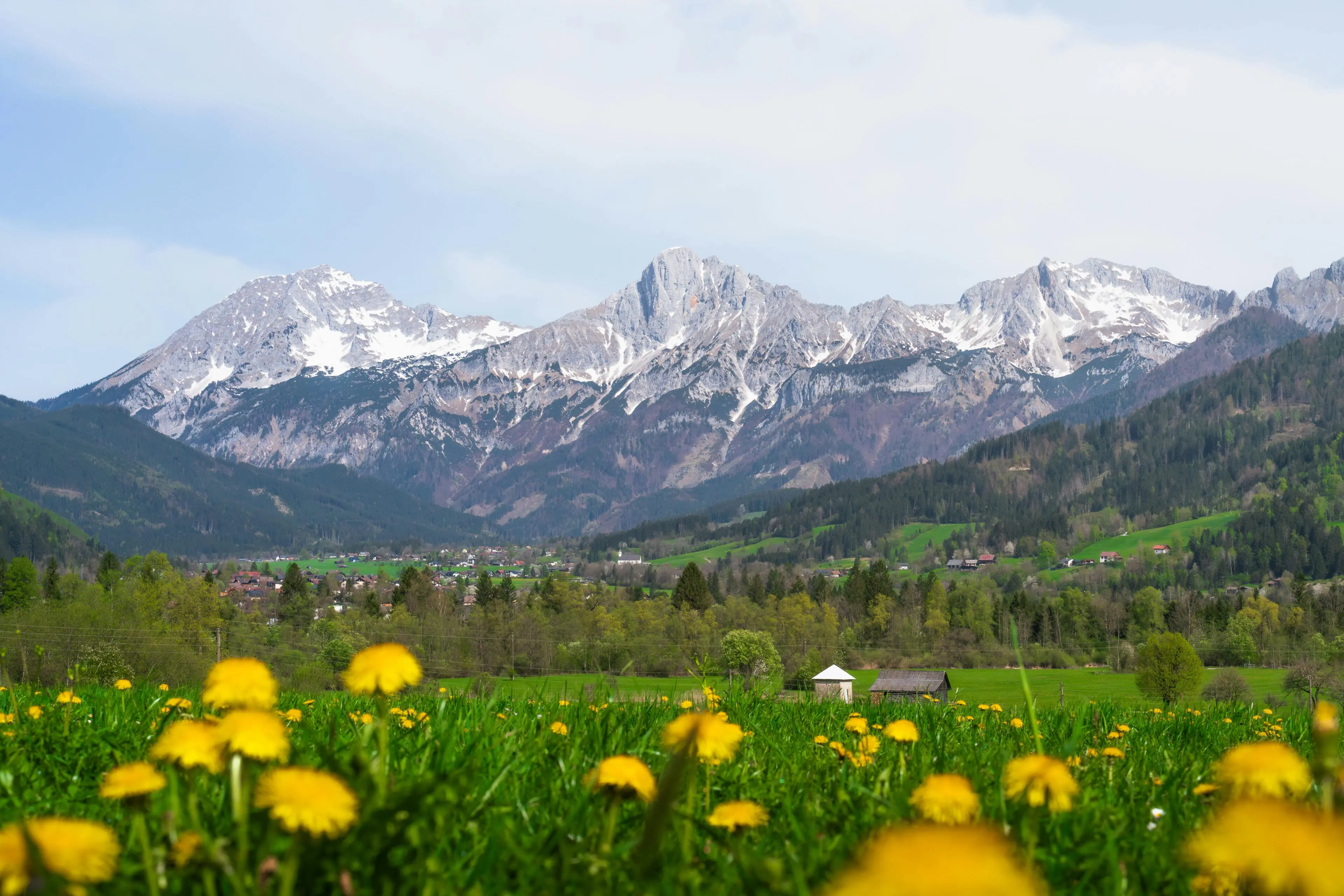 pexels-ahmetyuksek-34123173